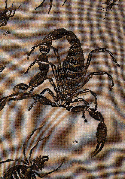 Parasite Woven Blanket