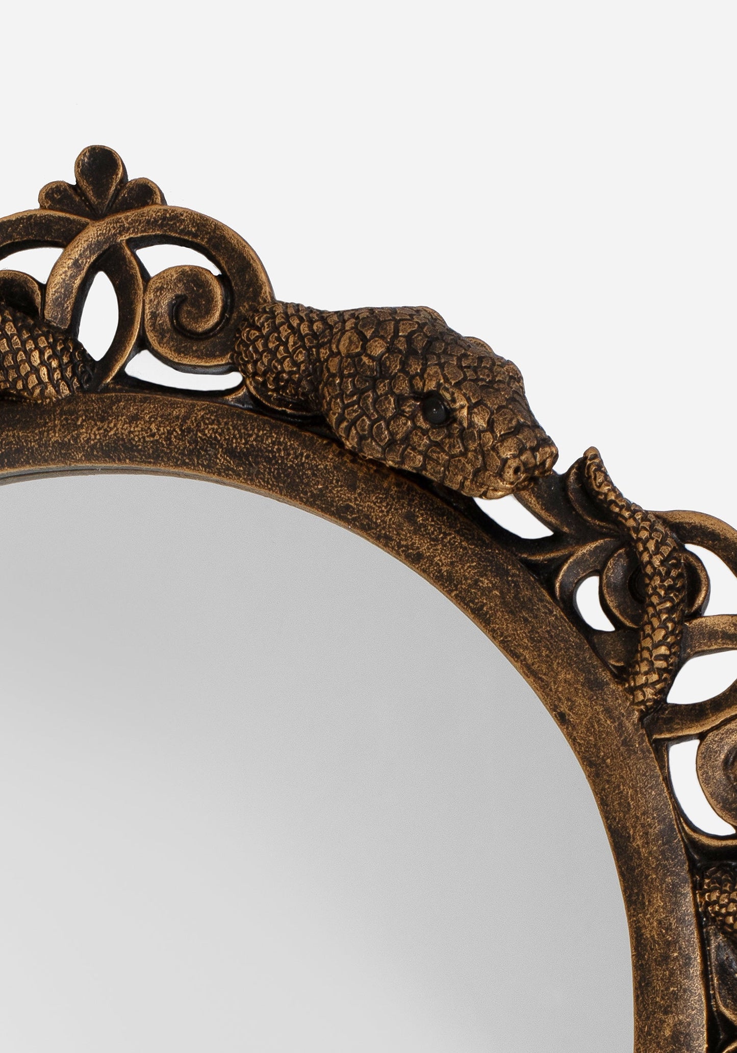 Vasuki Twisted Snake Mirror