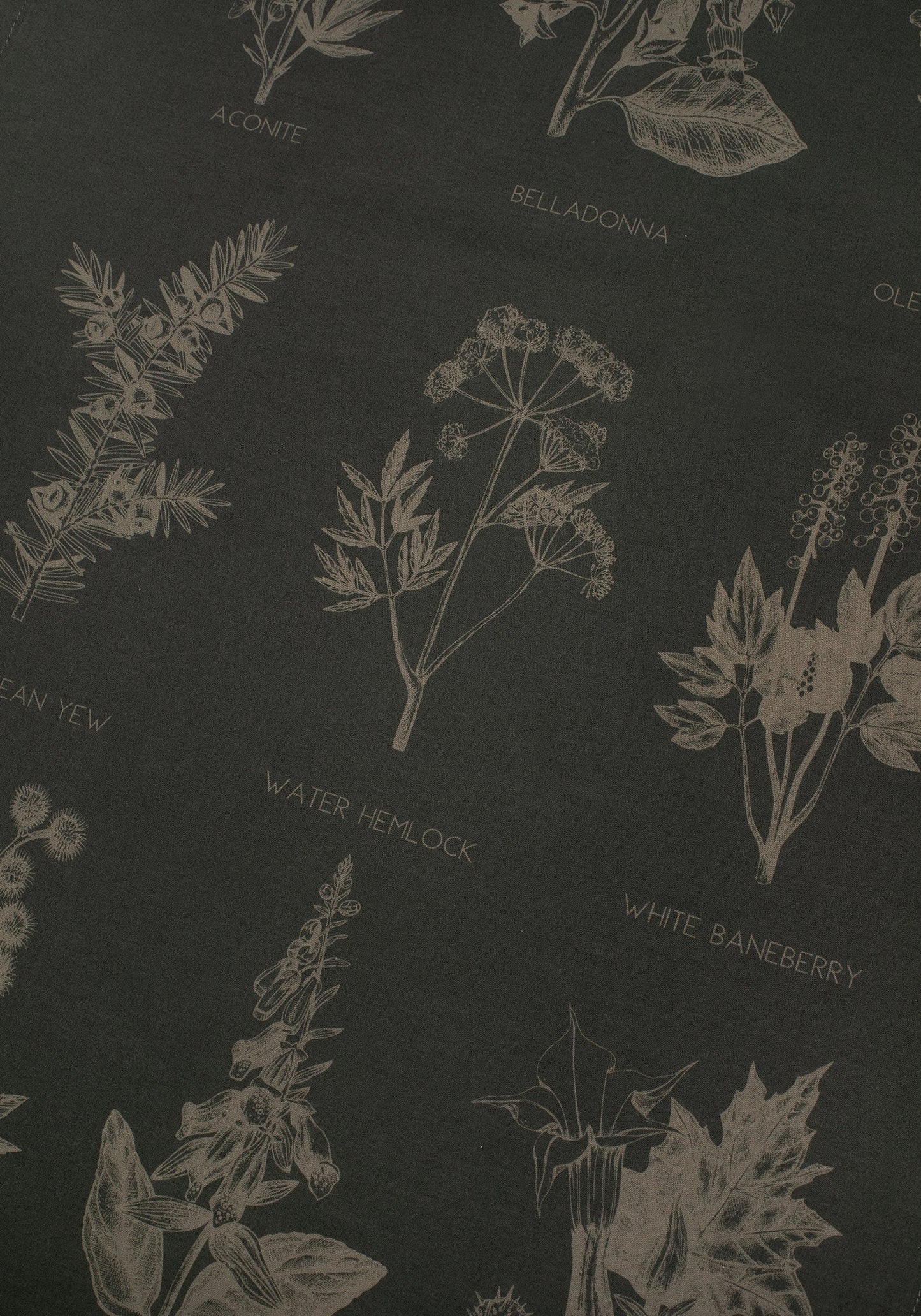 Scythia Mycology Tea Towel - 2 Pack