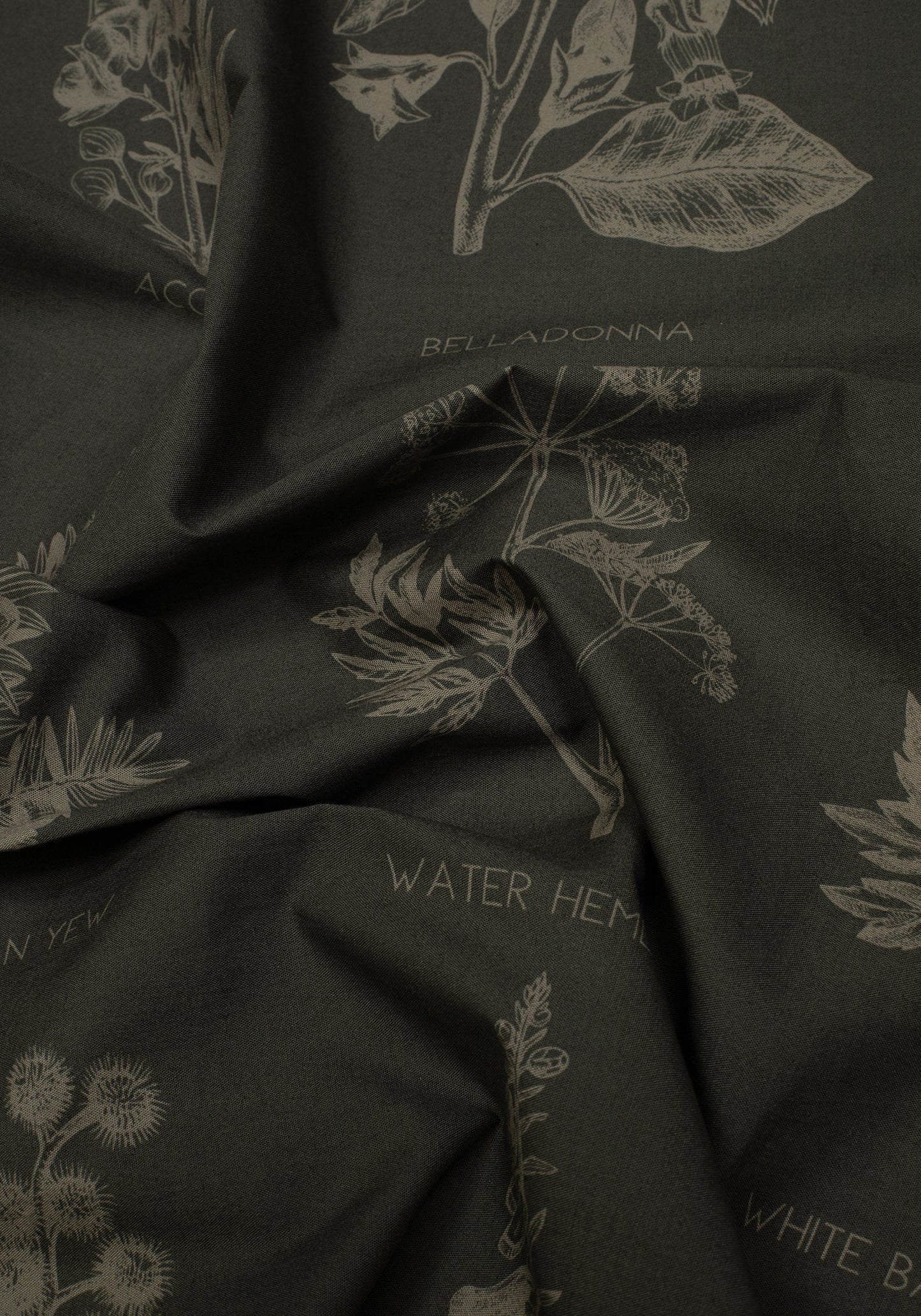 Scythia Mycology Tea Towel - 2 Pack