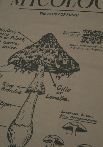 Scythia Mycology Tea Towel - 2 Pack