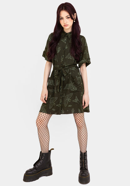 Callopistria Moth Print Mini Shirt Dress - Green