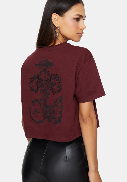 Xove Medieval Graphic Boxy Crop Cotton T-Shirt
