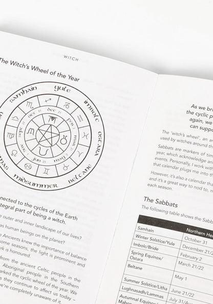 Witch : Unleashed. Untamed. Unapologetic. By Lisa Lister